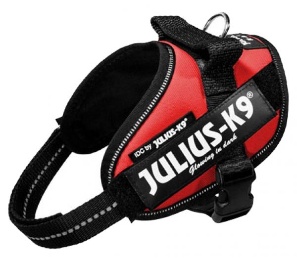 Julius k9 power-harnas voor hond / tuig voor  voor labels rood