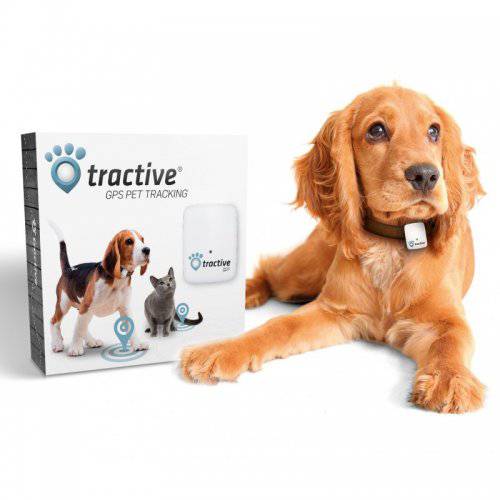 Tractive gps tracker voor honden en katten