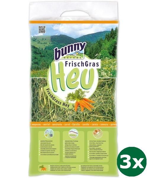 Bunny Nature Vers Gras Hooi Met Wortel