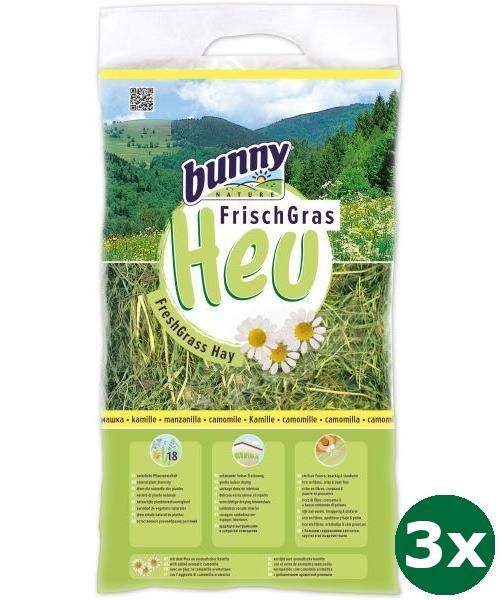 Bunny Nature Vers Gras Hooi Met Kamille