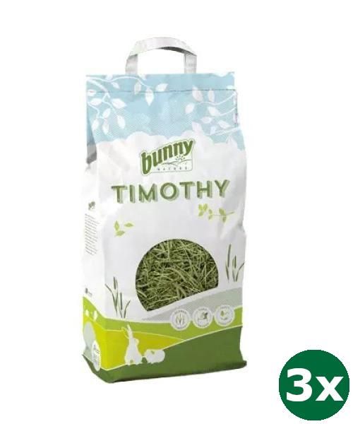 Bunny nature timothy hooi