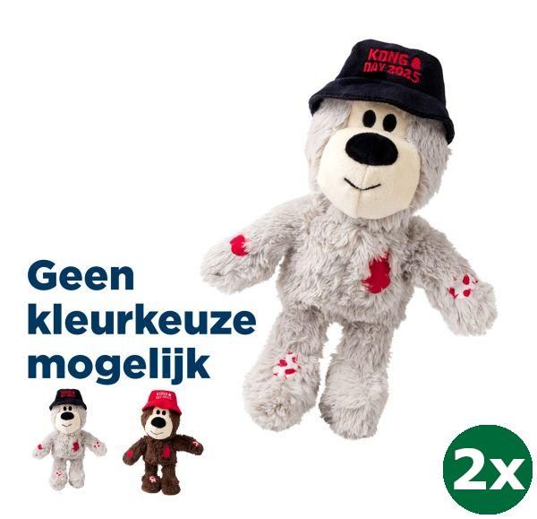 Kong day 2025 wild knots beer assorti