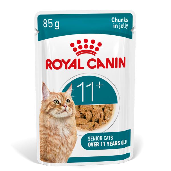 Royal canin ageing 11+ in jelly (brokjes in gelei) kattenvoer