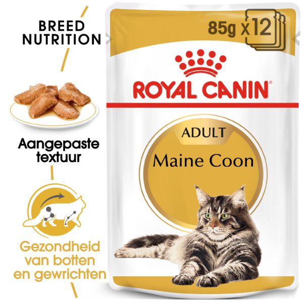 Royal canin maine coon adult in loaf (paté in saus) kattenvoer