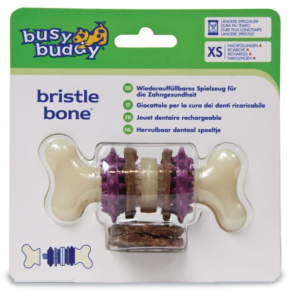 Premier busy buddy bristle bone