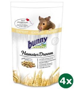 bunny nature hamster dream expert