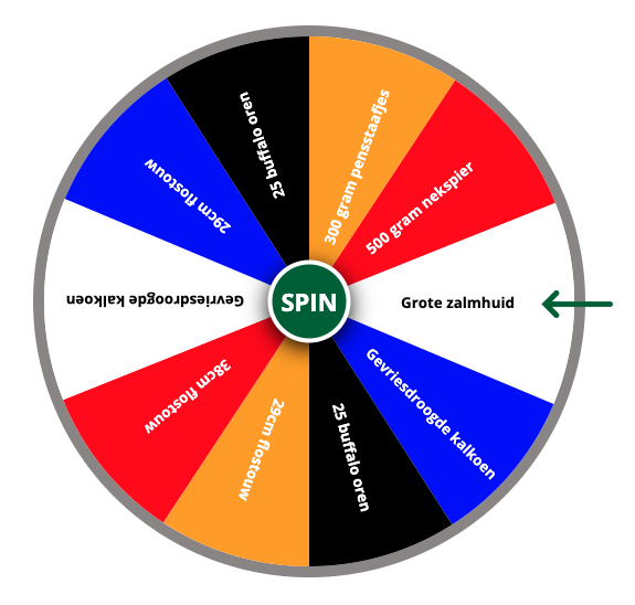 Voorbeeld prijzenwiel