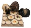 MAZE-A-LOG TREAT CHALLENGE