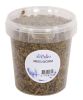 De Vries Black Soldier Fly Larven