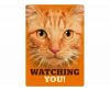 PLENTY GIFTS WAAKBORD BLIK RODE KAT WATCHING YOU