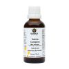 De Groene Os Salvia Complex voor luchtwegen Hond / Kat