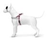 Morso Norwegian Tuig Voor Hond Gerecycled Skyline Rood / Roze