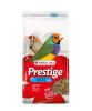 Prestige Tropische Vogel