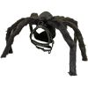 Croci Tuig Voor Hond Fright Spider