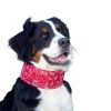 Halsband Voor Hond Aqua Coolkeeper Red Western