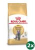 Royal Canin British Shorthair Kattenvoer