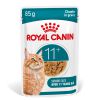 Royal Canin Ageing 11+ In Gravy (brokjes In Saus) Kattenvoer