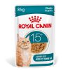 Royal Canin Ageing 15+ In Gravy (brokjes In Saus) Kattenvoer