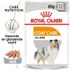 Royal Canin Coat Care In Loaf (paté In Saus) Hondenvoer