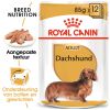 Royal Canin Dachshund Adult In Loaf (paté In Saus) Hondenvoer