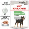 Royal Canin Digestive Care In Loaf (paté In Saus) Hondenvoer