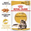 Royal Canin Maine Coon Adult In Loaf (paté In Saus) Kattenvoer