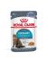 Royal Canin Mini Adult In Loaf (paté In Saus) Hondenvoer