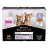 Pro Plan Kitten Healthy Start Met Kalkoen In Saus Kattenvoer