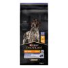 Pro Plan All Sizes Adult Protein & Energy Kip Hondenvoer