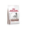 Royal Canin Gastrointestinal hondenvoer