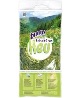 Bunny nature vers gras hooi